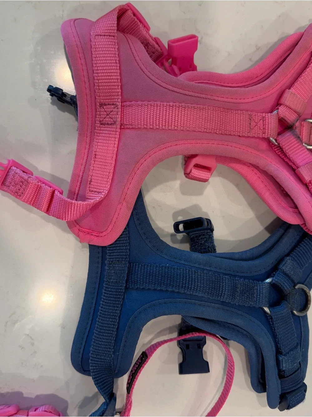 XS Dog Clothes, Bandanas, and Harnesses